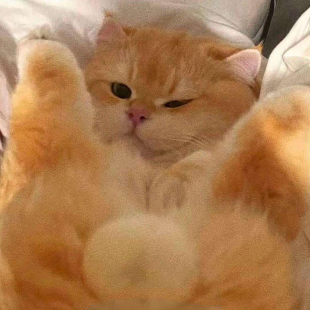 鸡蛋仔