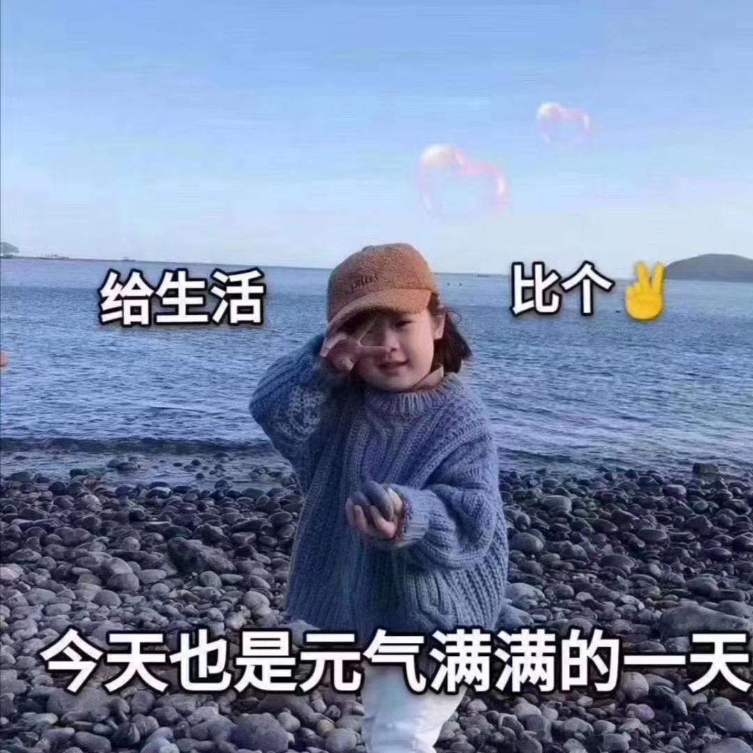 小样子。