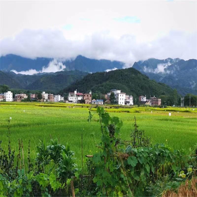 琳姐土特产