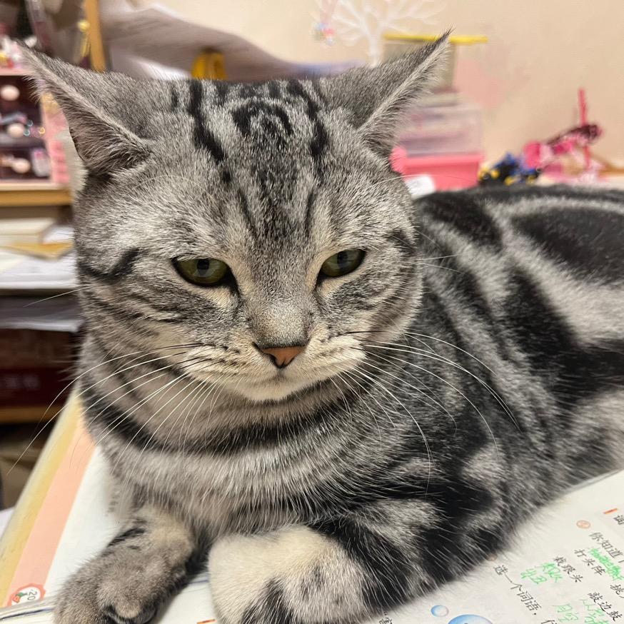 小小宝贝