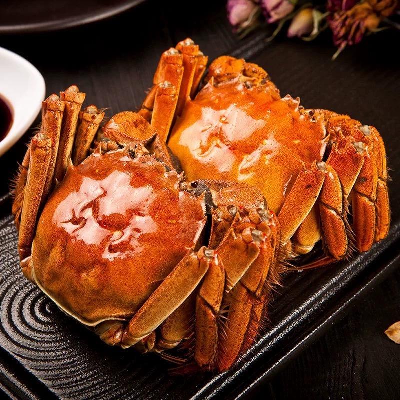 秋实盘锦河蟹