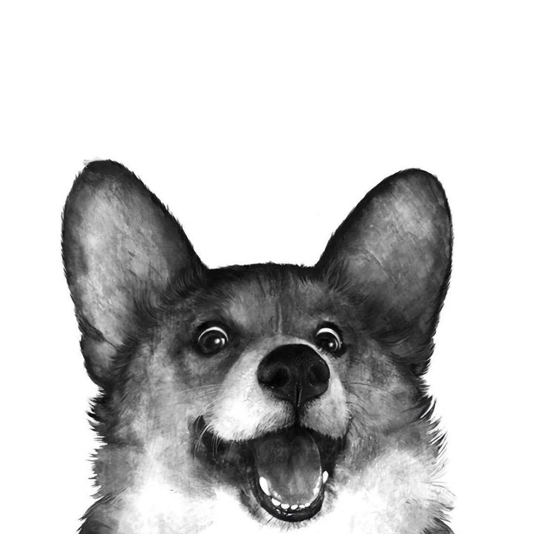 E_