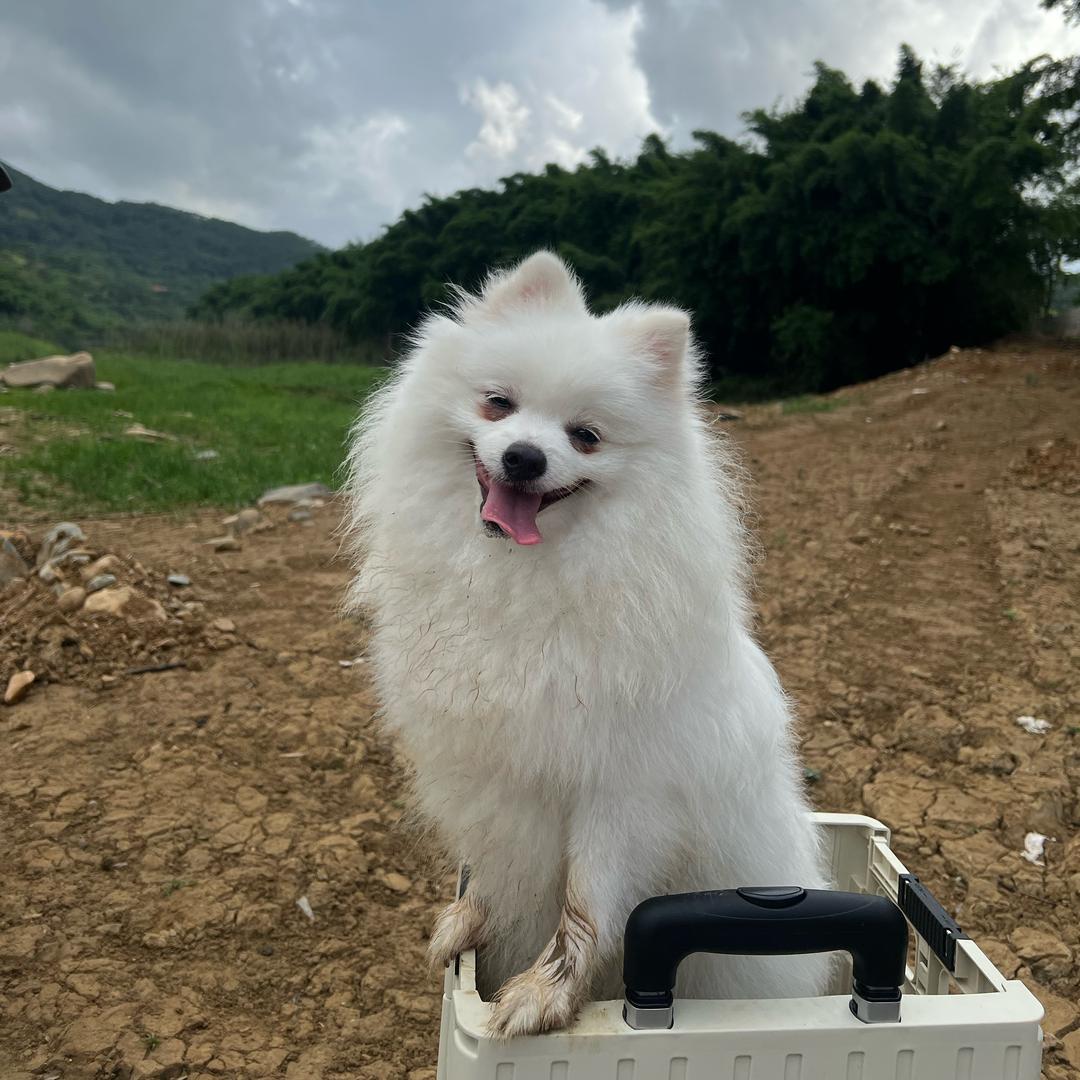 今晚早睡了吗