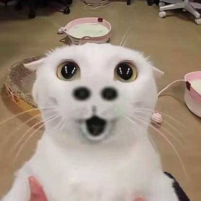 小淘气