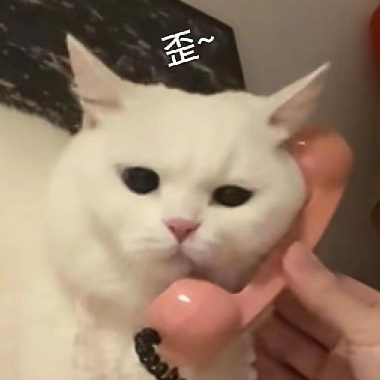 奇迹雪雪