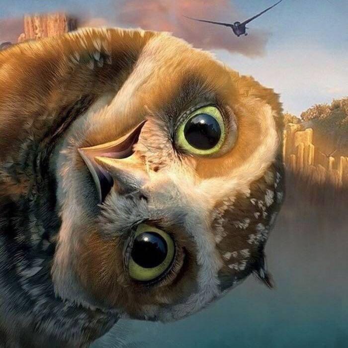 美东游记