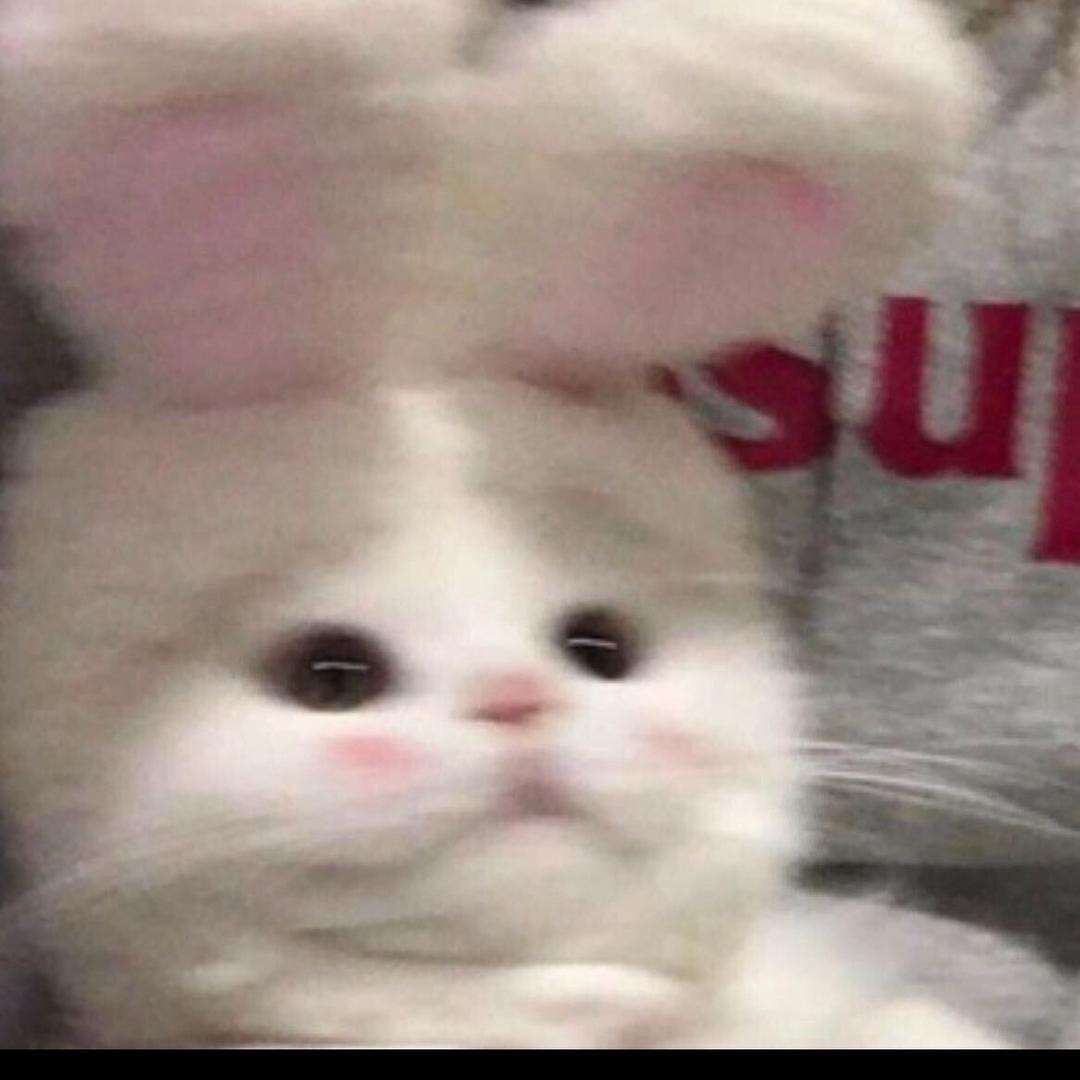 莓气泄露🧸