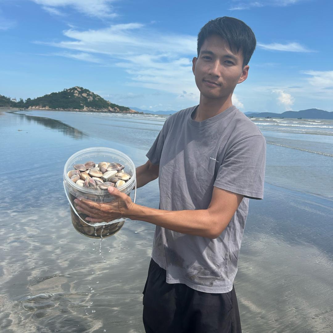 台山小策