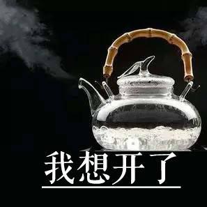 柠檬🍋琦