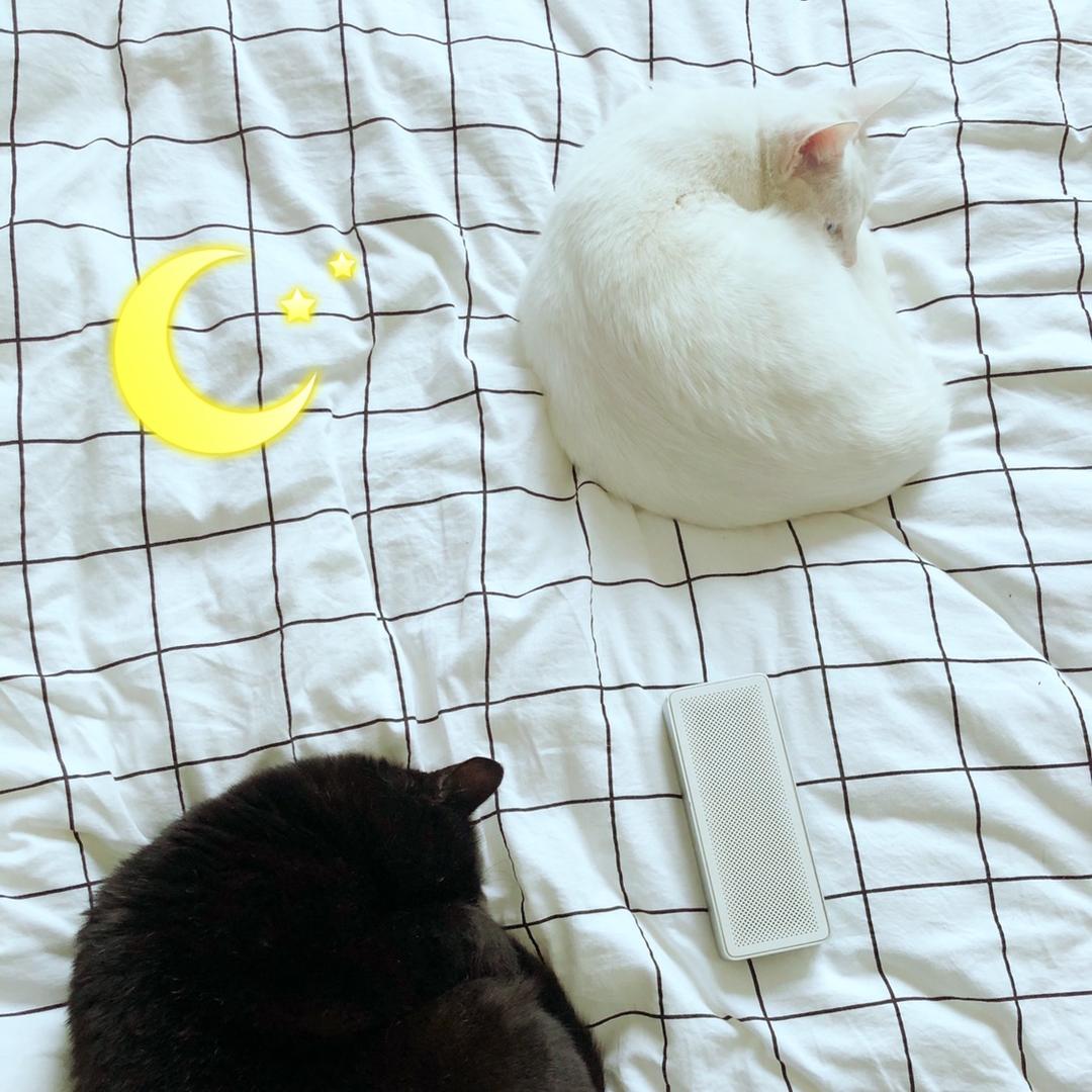 翠芬和癫当的日常生活