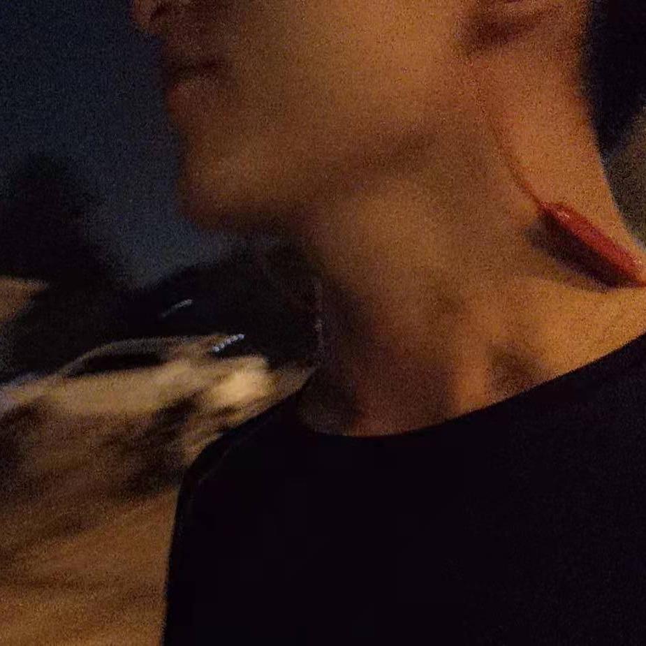 东方树叶
