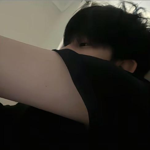 陈书羊