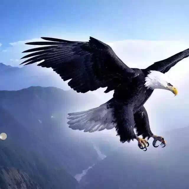 海纳百川 有容乃大