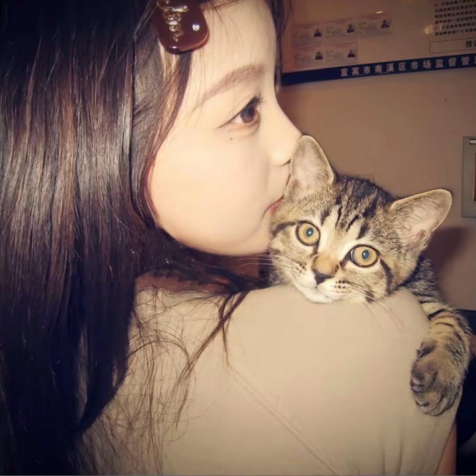 qq