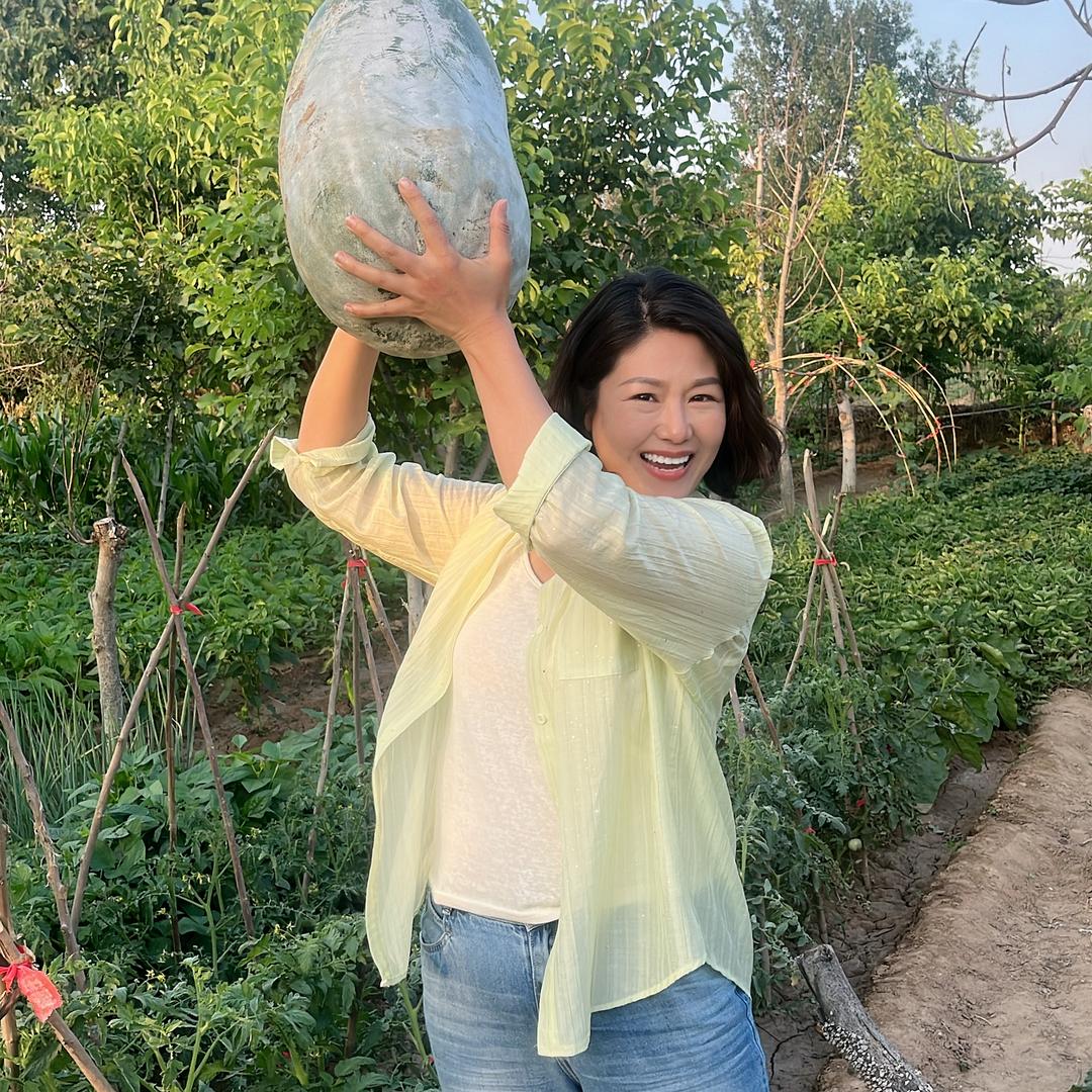 大倩农资