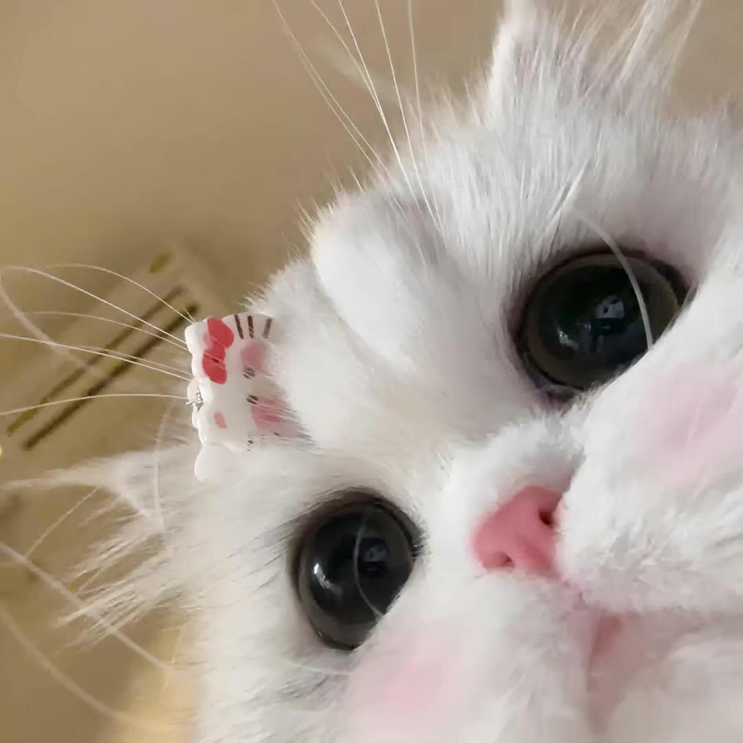 yy.