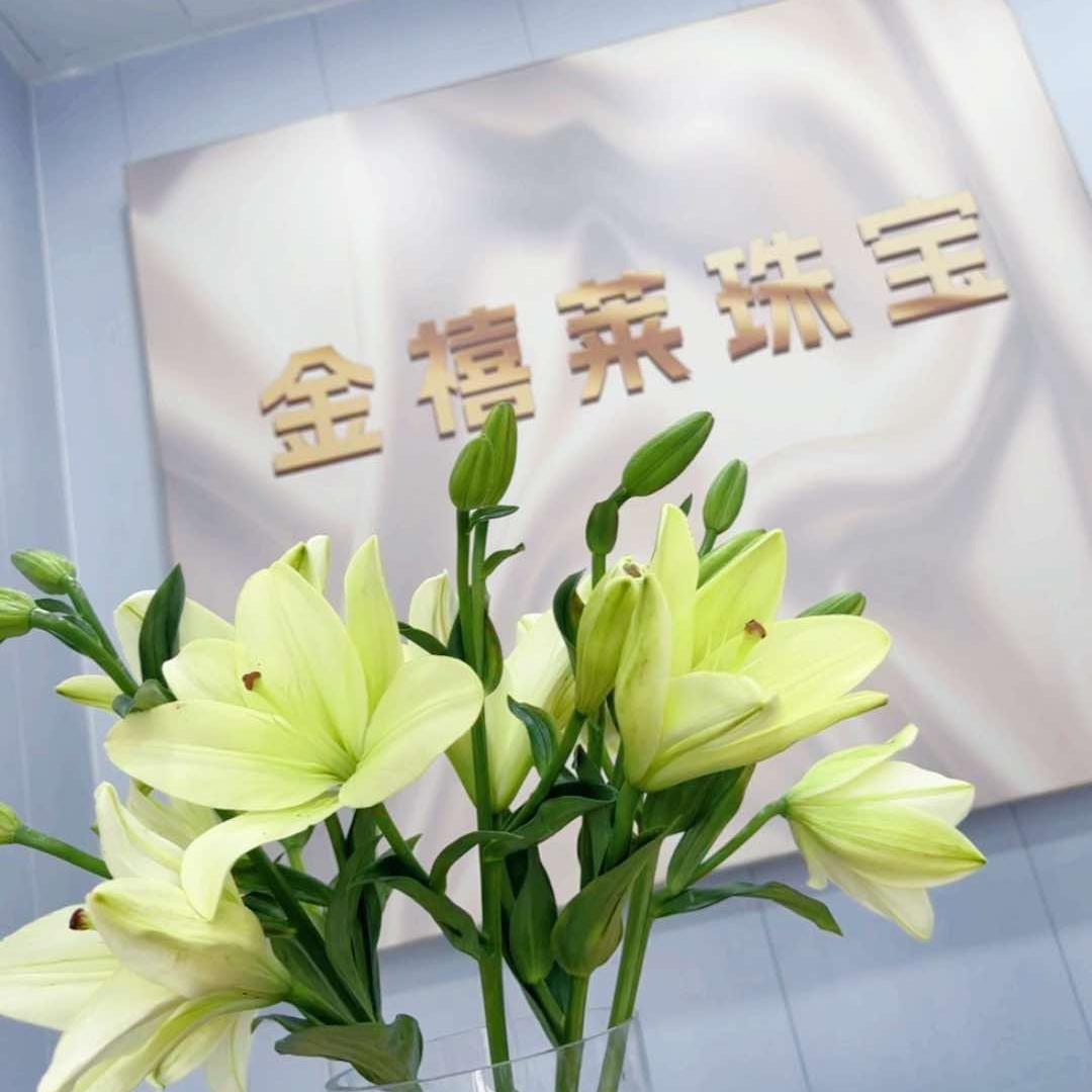 泰安金禧莱金包银（迎胜路店）