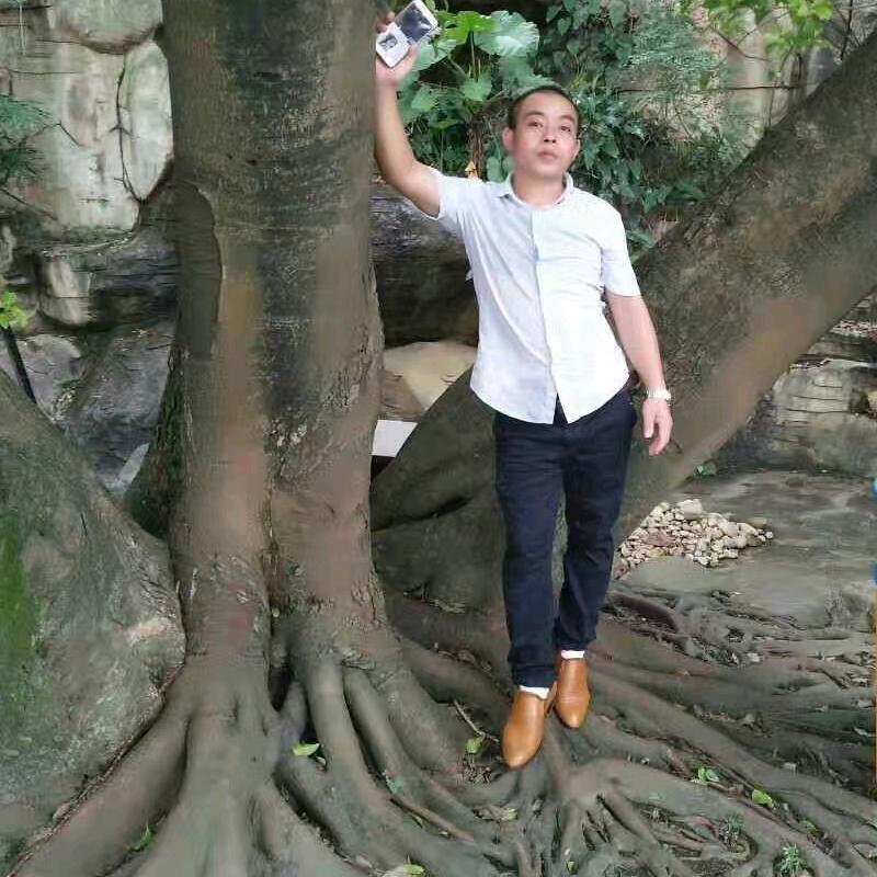 陶绍灿