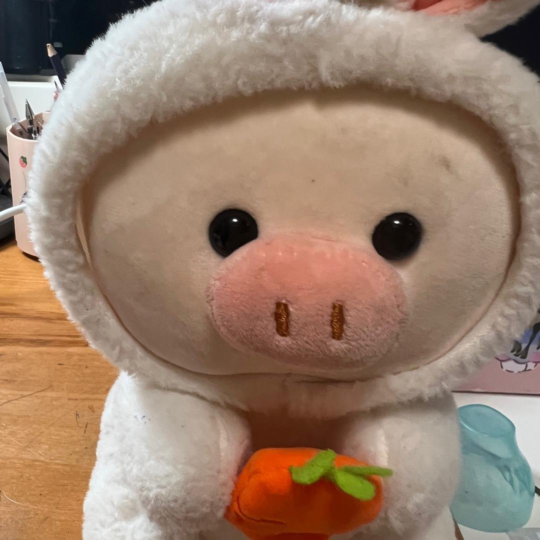 语桐与佳芮家居生活馆