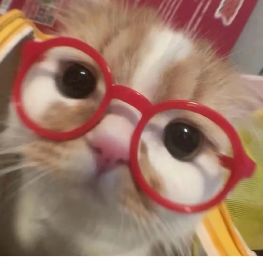 小猫怎么叫.