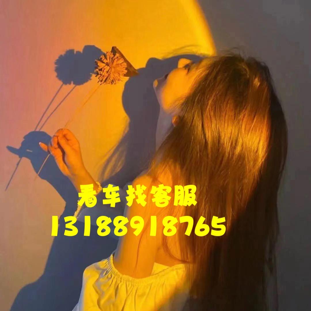 车佰度