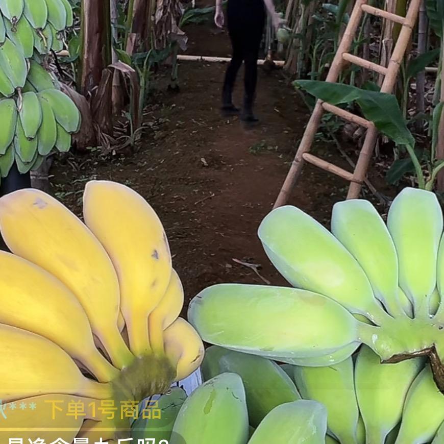 幺妹儿水果优选