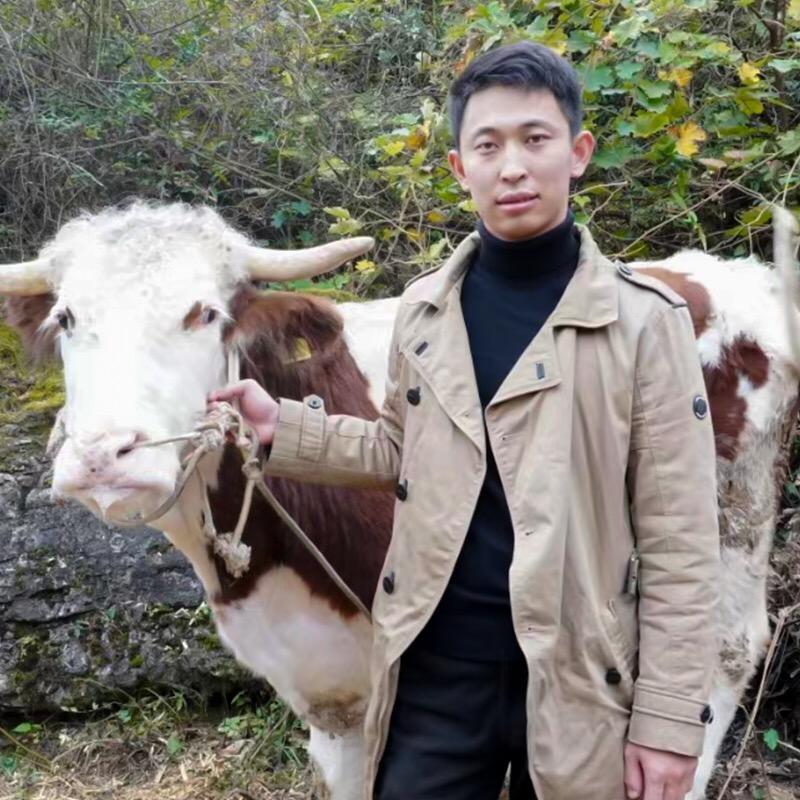 乡村李兽医（专业调理）