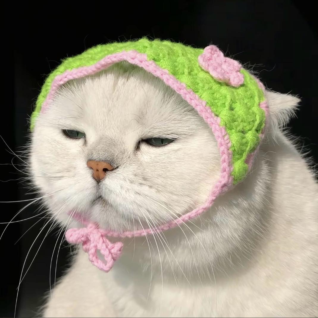 嗷呜aowu