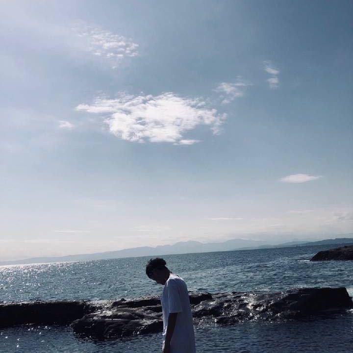 宠医大壮.喵心犬意