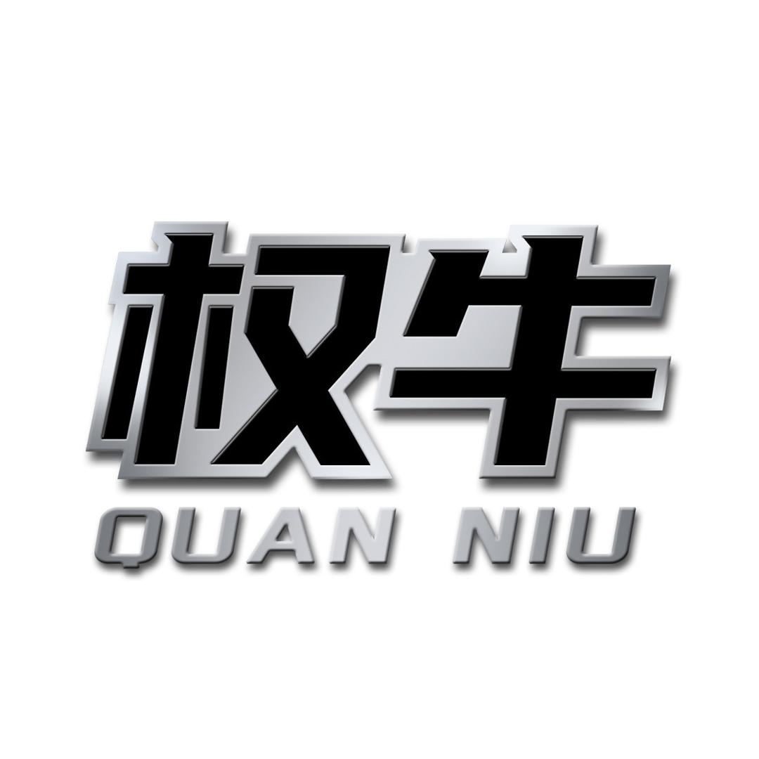 权牛新能源工厂店