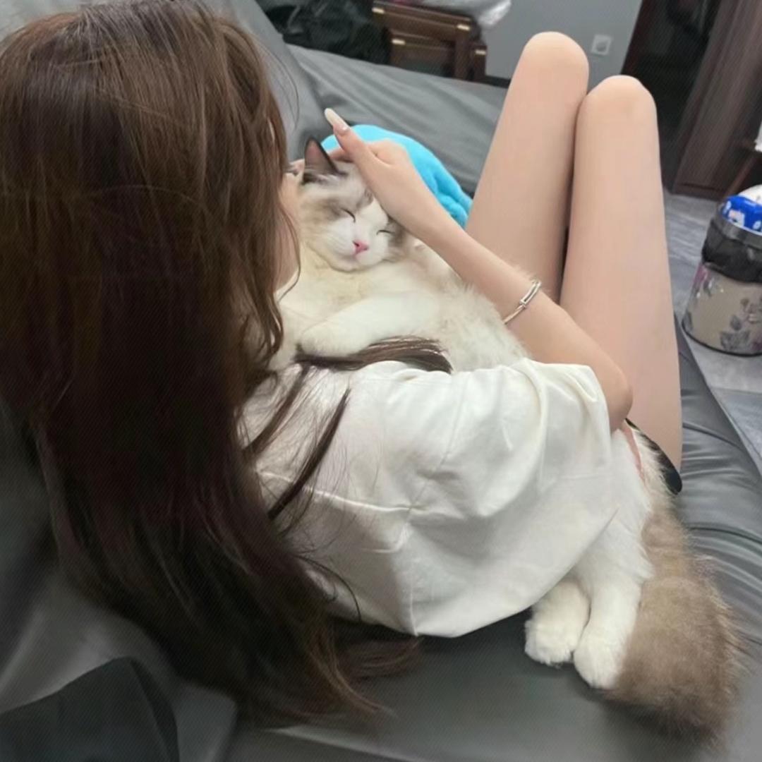 条条