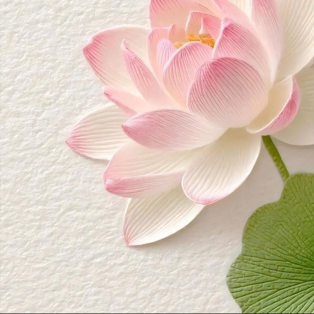 @莉宝、🫧