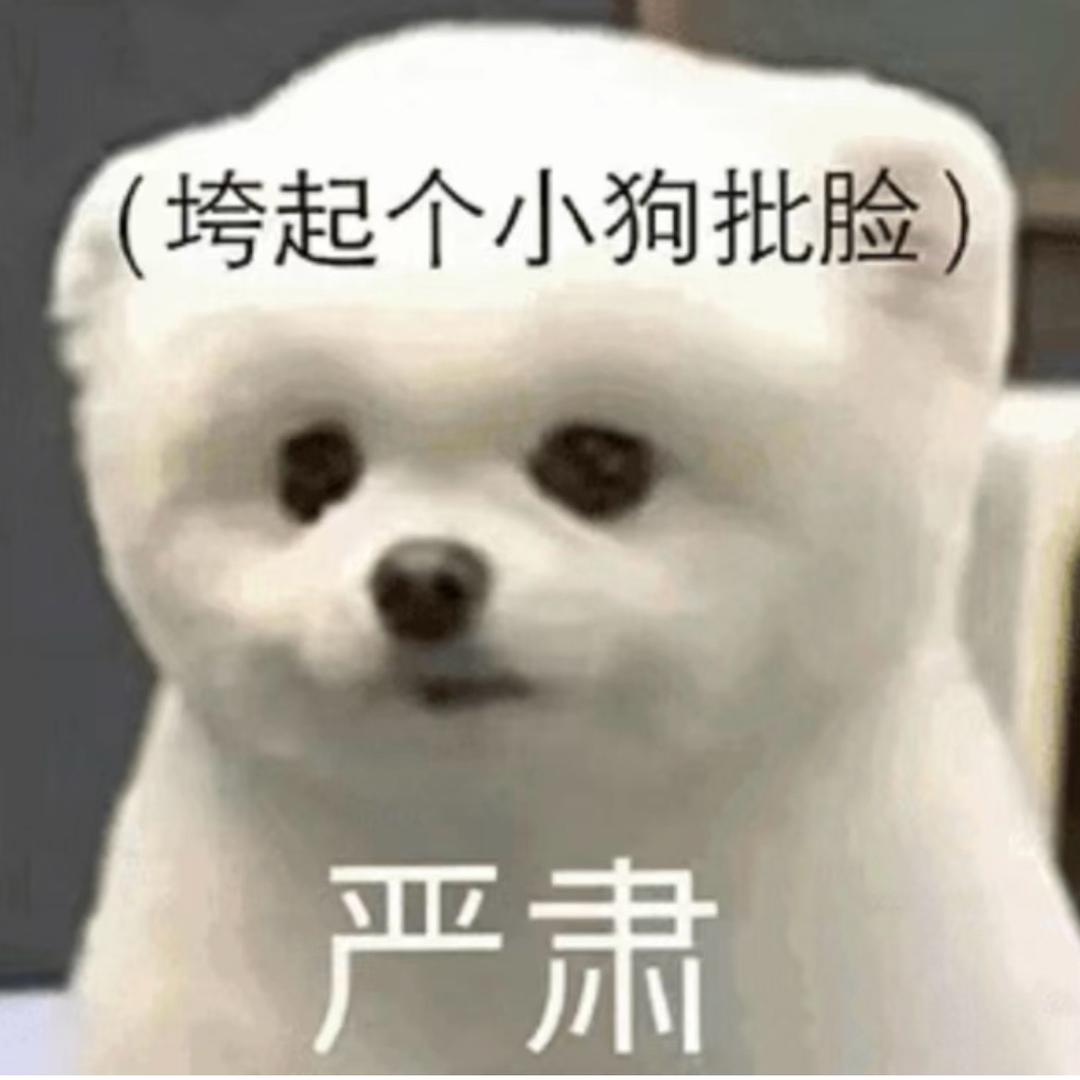 猫耳薄荷🥕