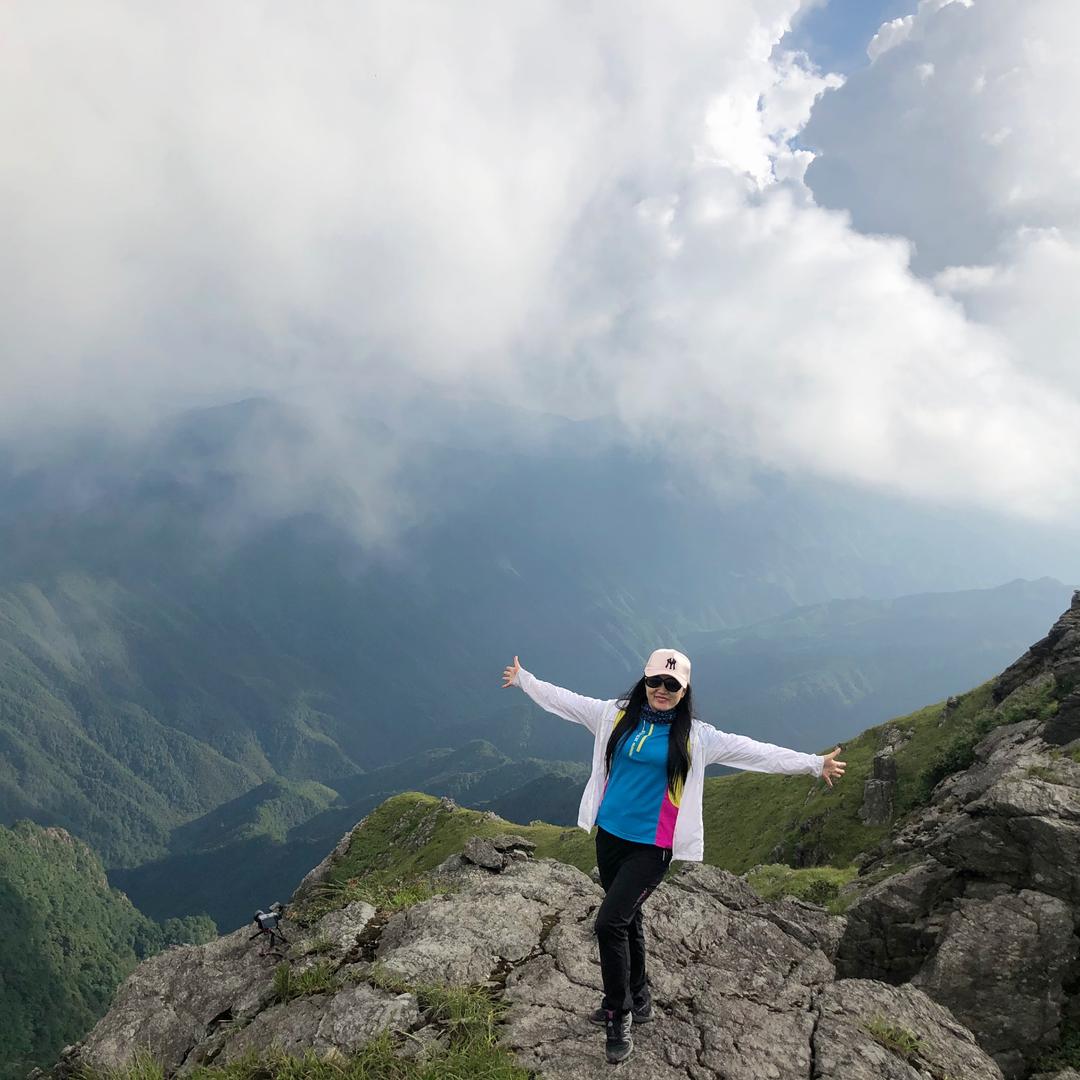 专业做广告的小仙女