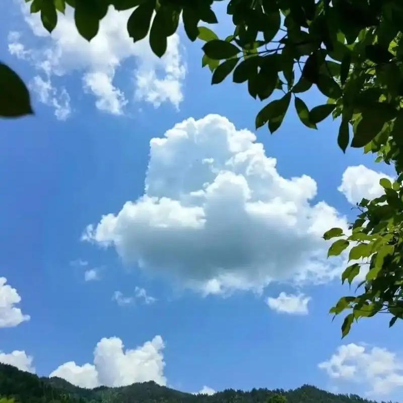 晓～馨