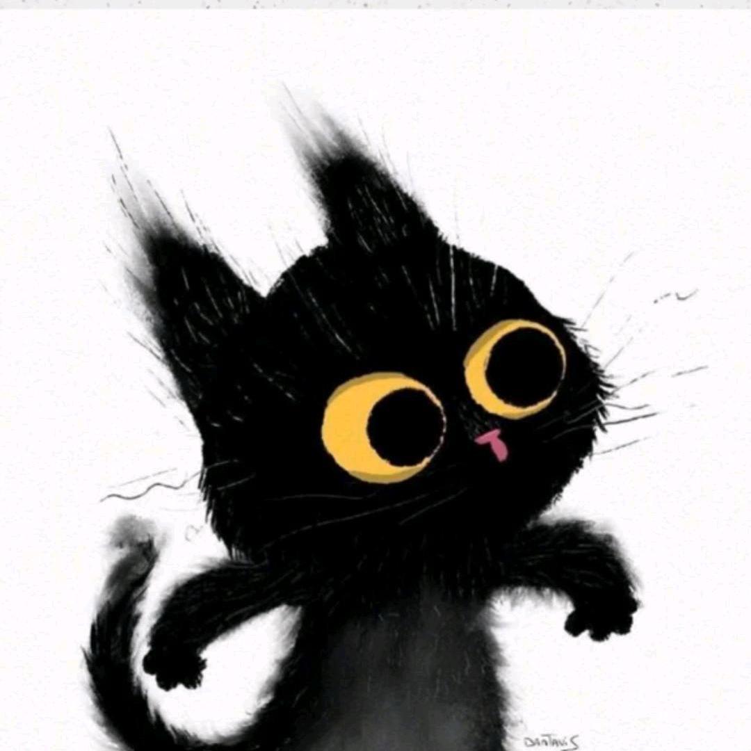 一个不知名的用户