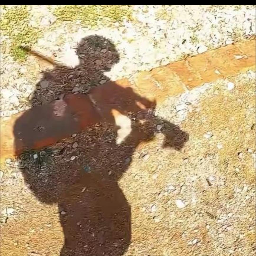 四川绵阳哥斯拉酒吧卡座预定（王跑跑）