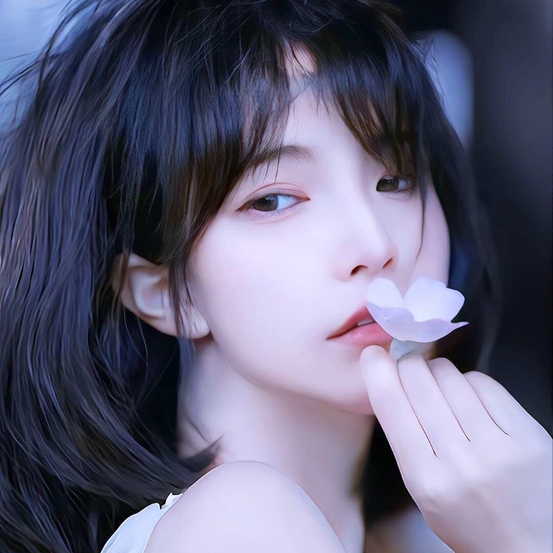 阳光下的花朵🌺