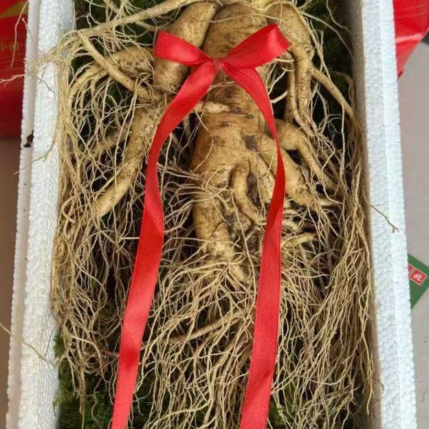 金满堂长白山特产行