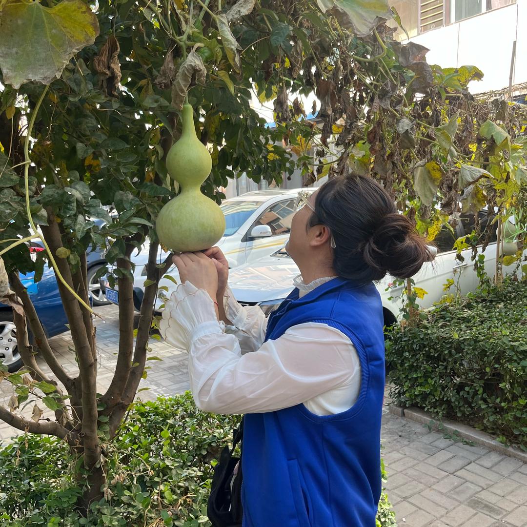 侯马瓷砖修缮燕子