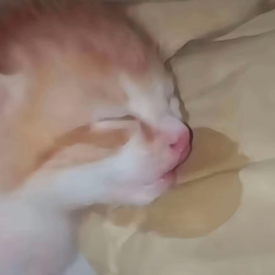 联盟二线