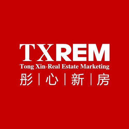 彤心不动产