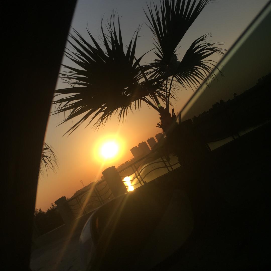 笨蛋比个耶✌️