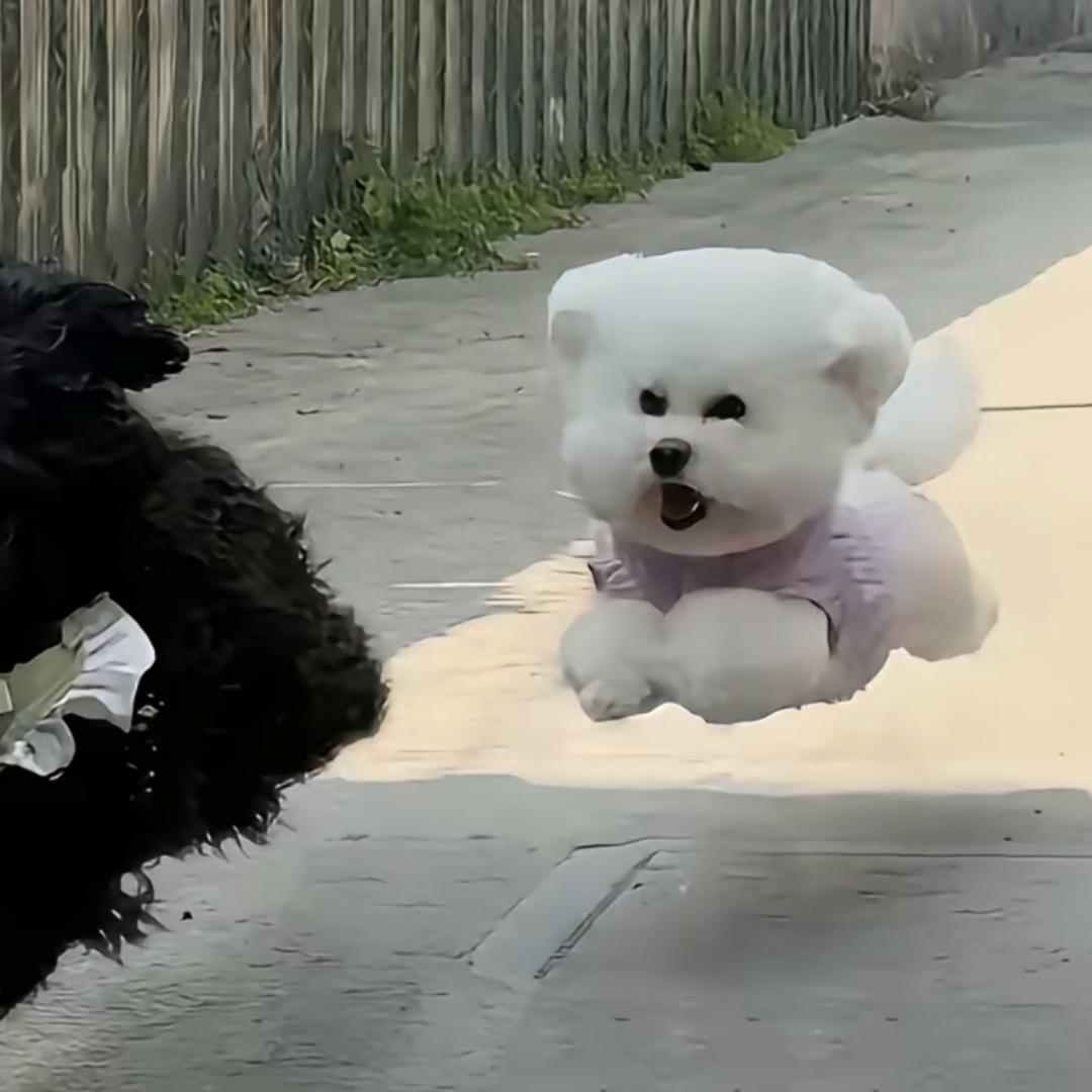 地里热吧_
