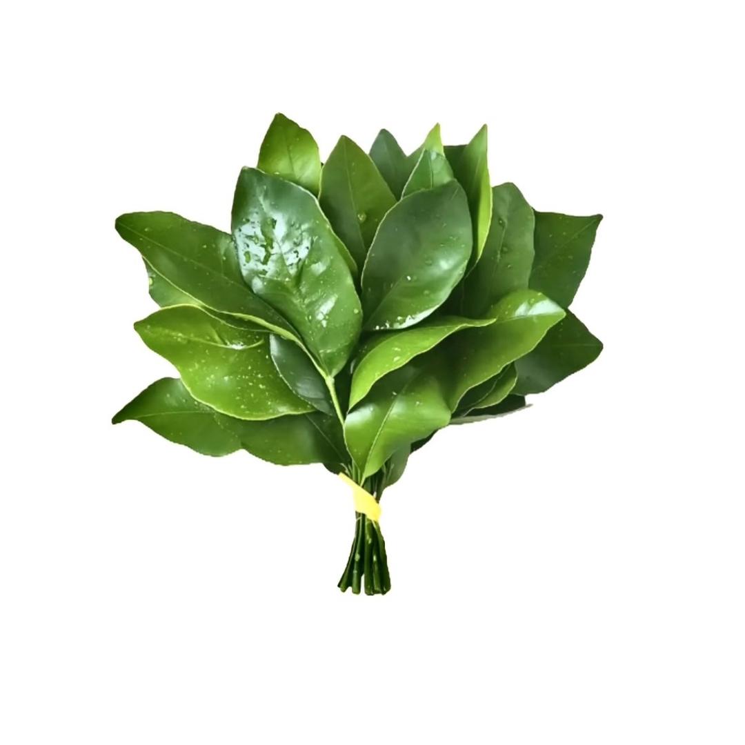 笨笨大王.