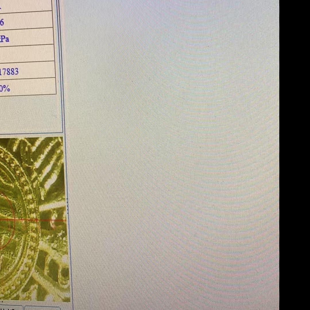 39113781915