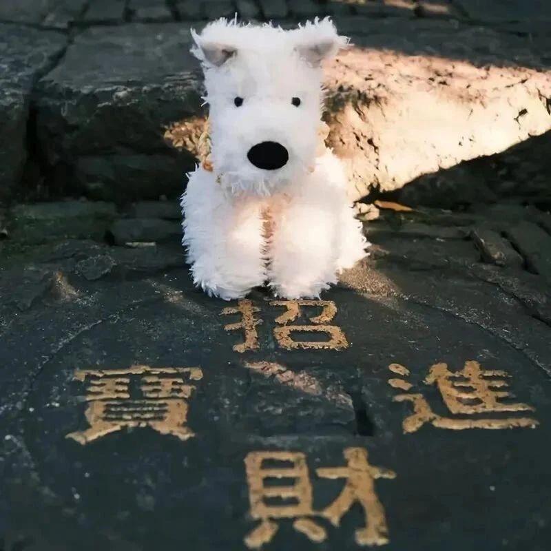 有只小猪🐷