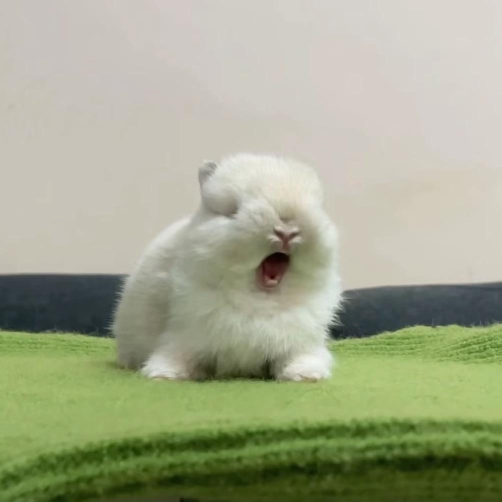 不要再闯祸了！