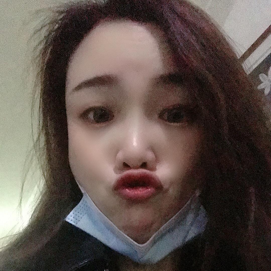 南有💕乔木💘