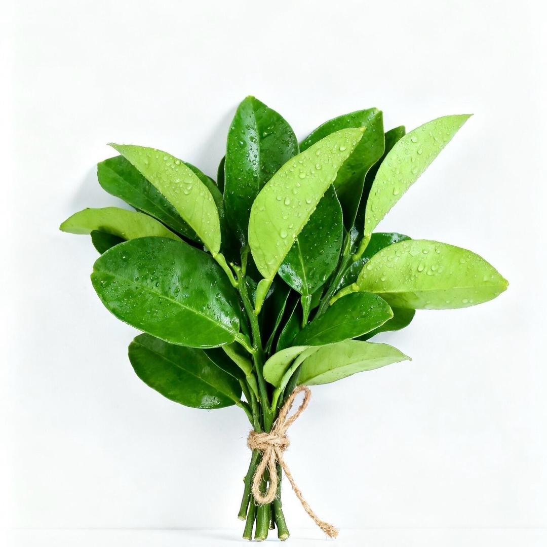 优选好物发货仓